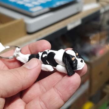 Cavalier tricolor - brelok do kluczy